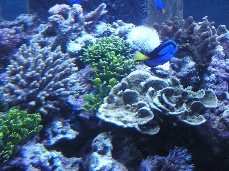 P8260065.jpg