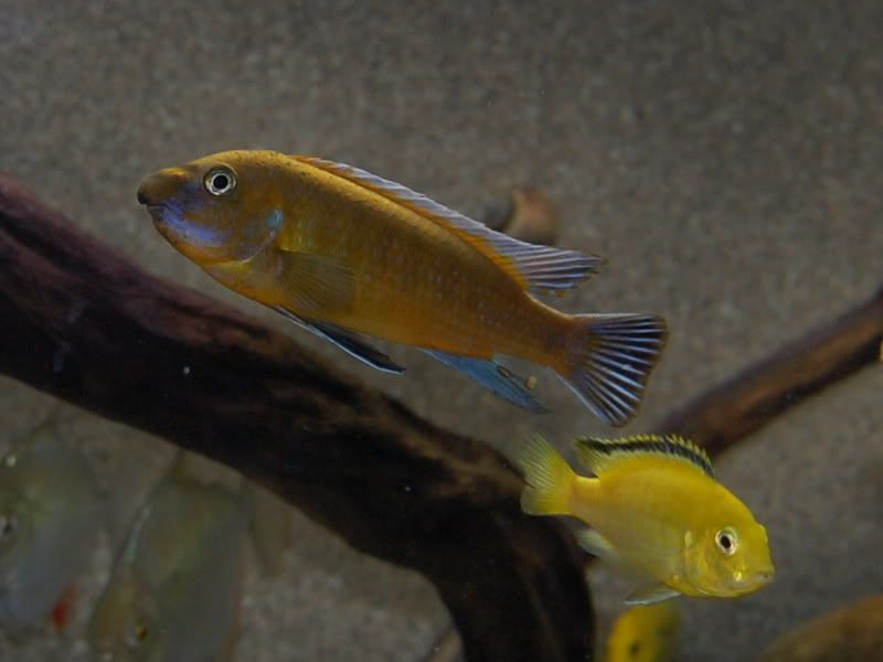 August2007253.jpg