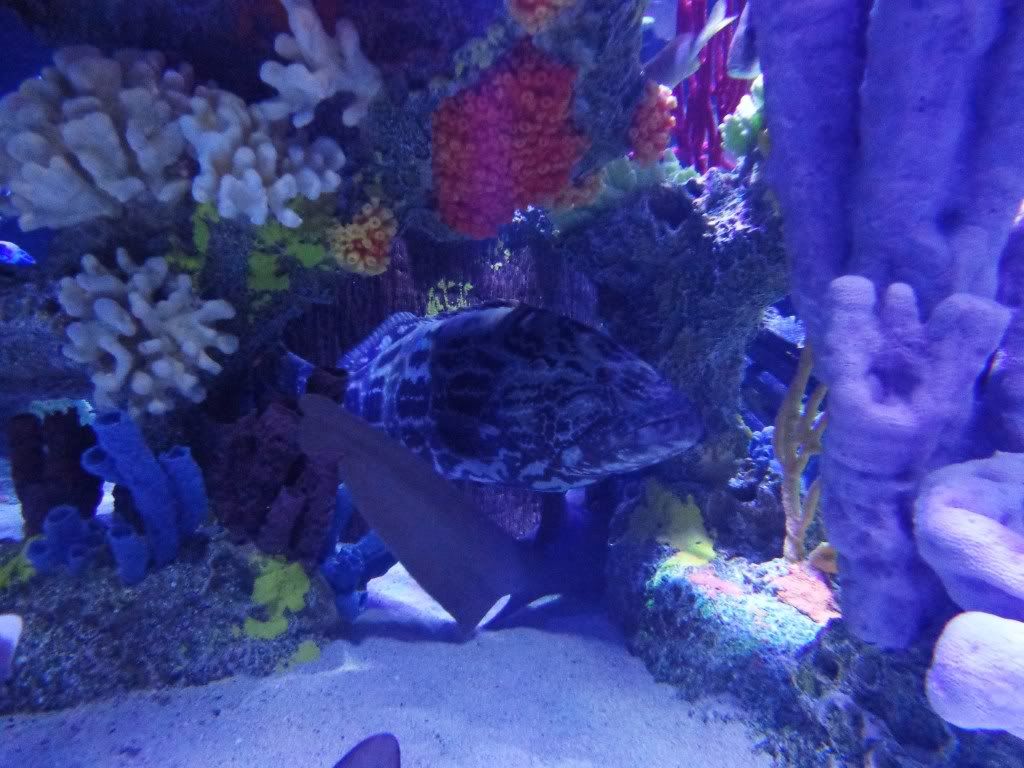 DSC01564.jpg