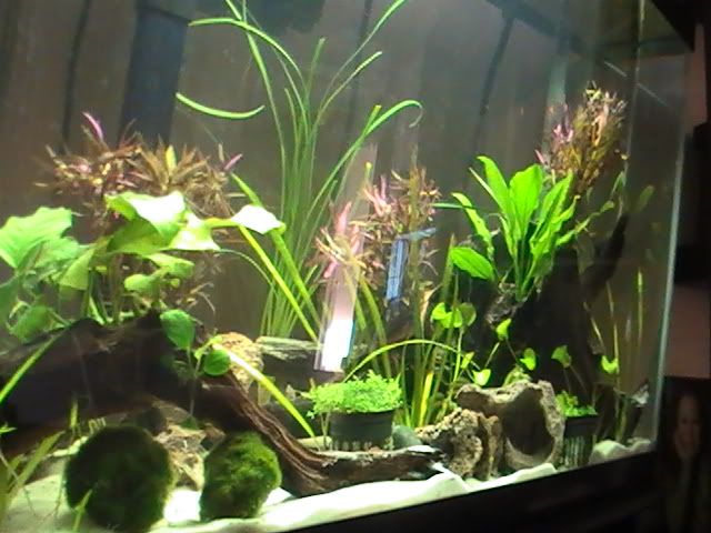 PIC_2682.jpg