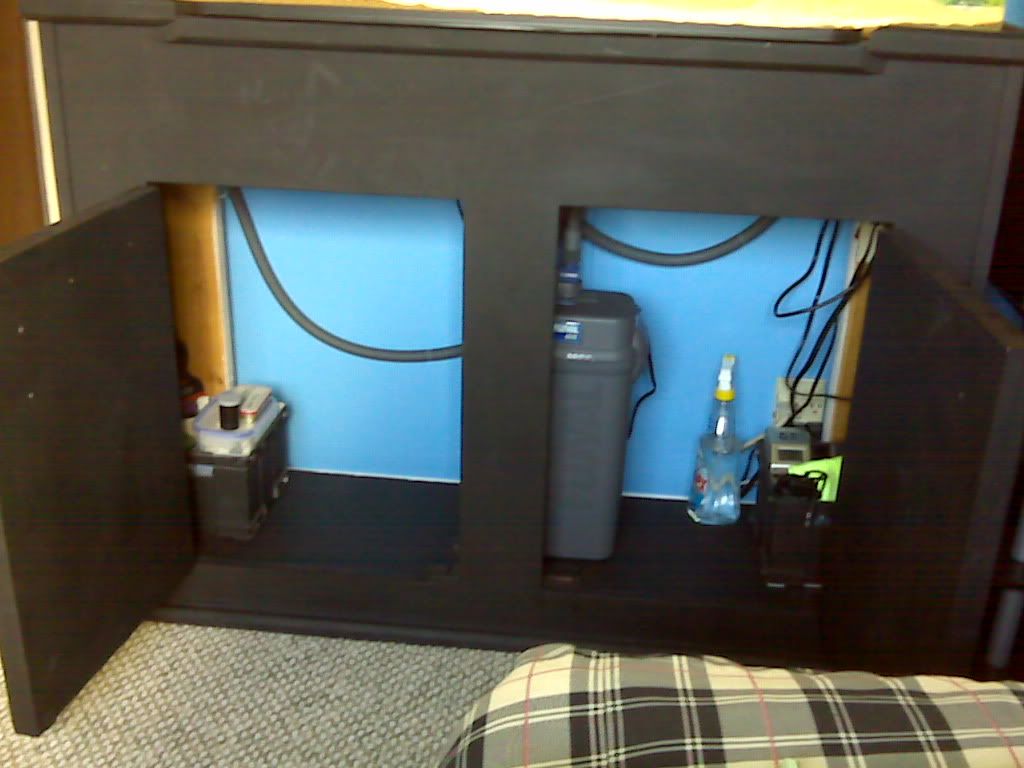 IMG00917.jpg