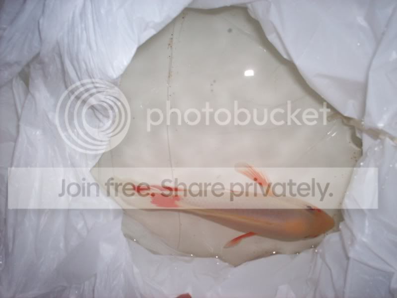 100_2386.jpg