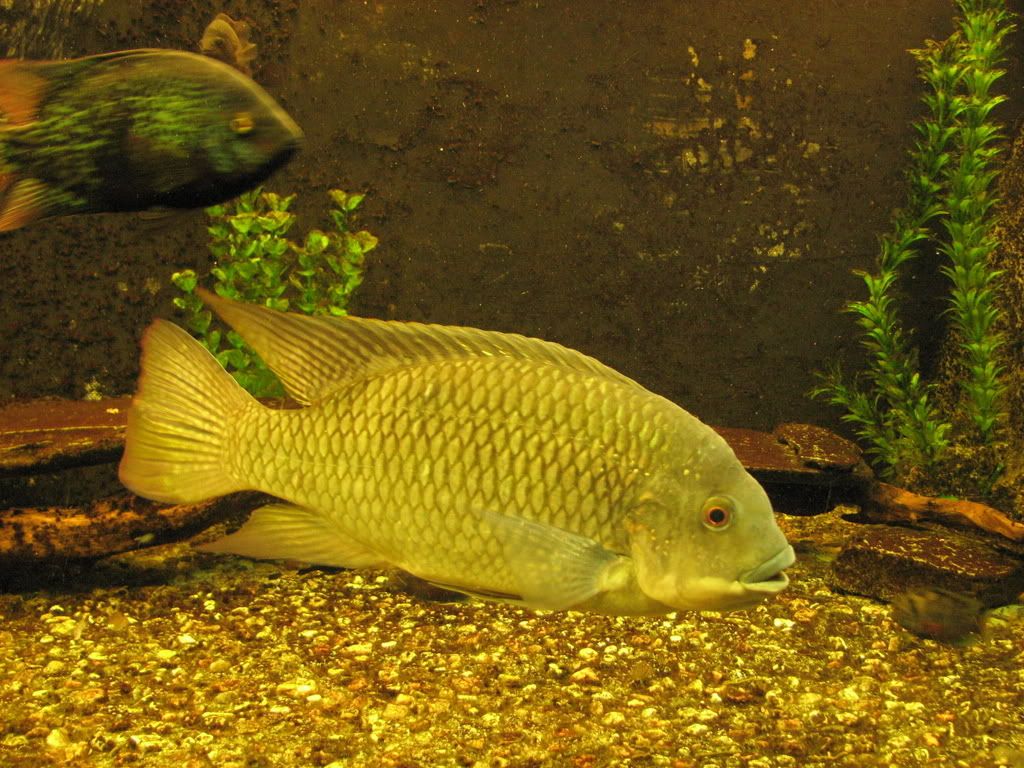 IMG_1995.jpg