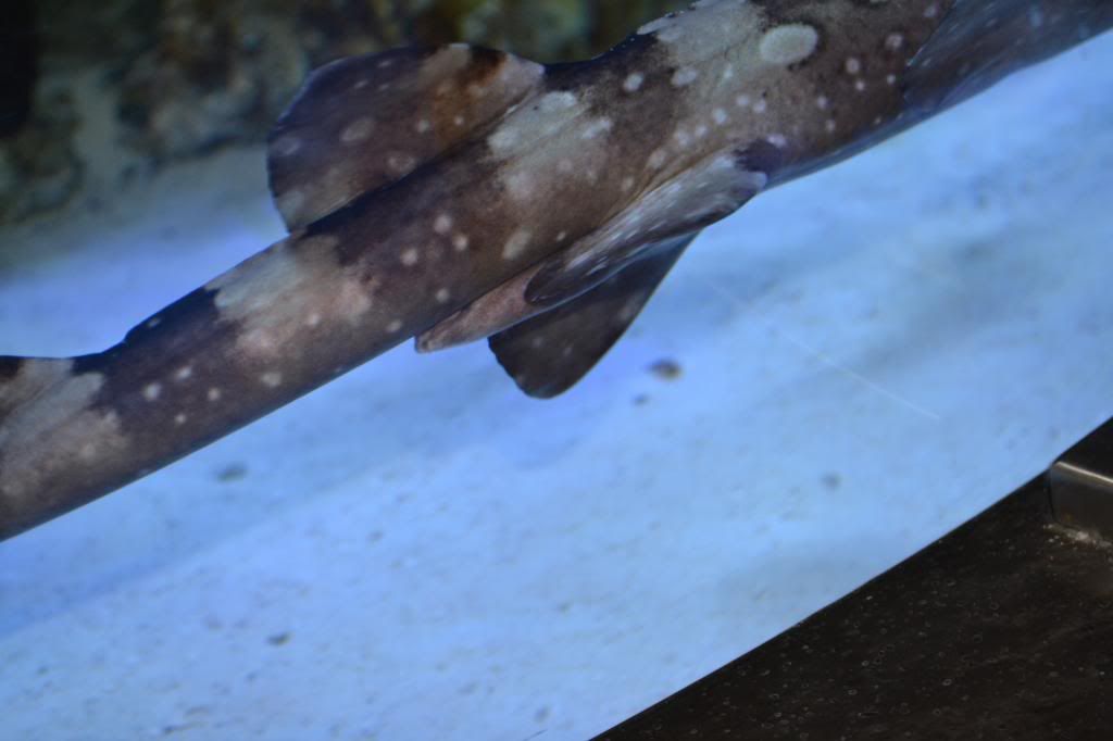 DSC_4882_zps75e6d2e8.jpg