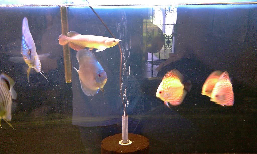IMAG0102.jpg