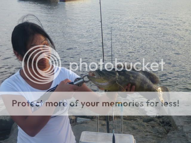 IMGP3671.jpg
