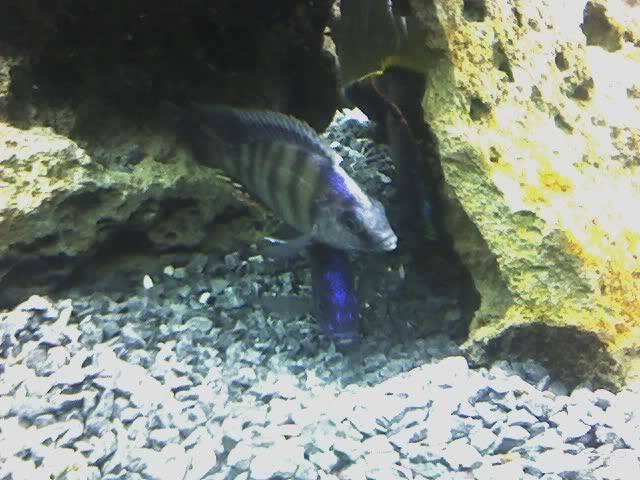 10-23-06_0108.jpg