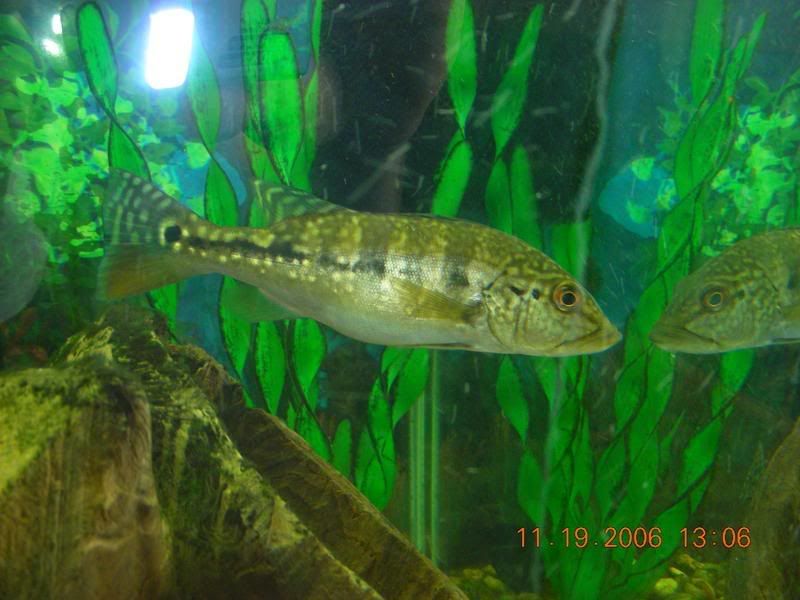 DSCN1031.jpg