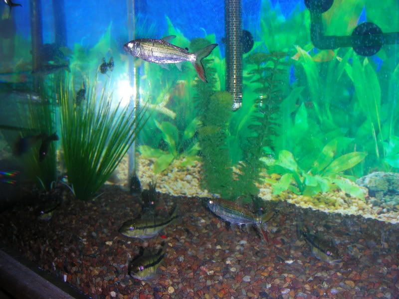 DSCN1539.jpg