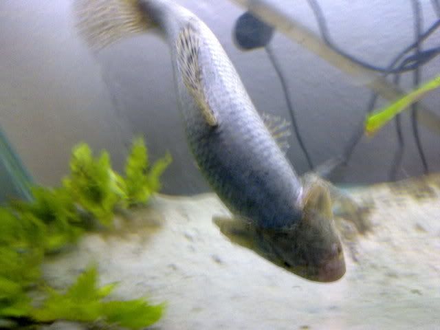 27122008016.jpg