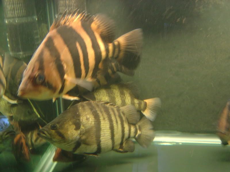 7-15-08017.jpg