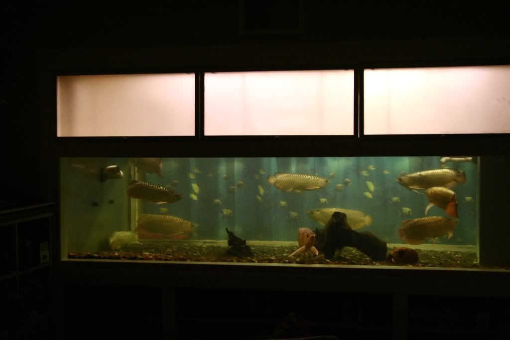 _MG_4698.jpg