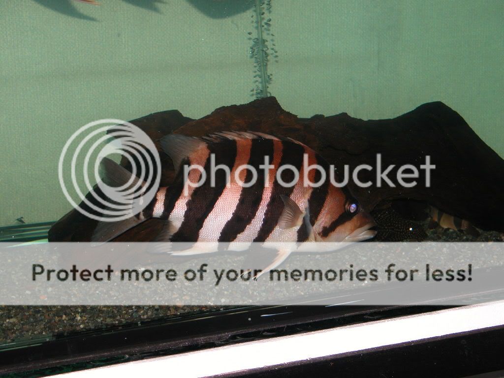DSCN0266.jpg