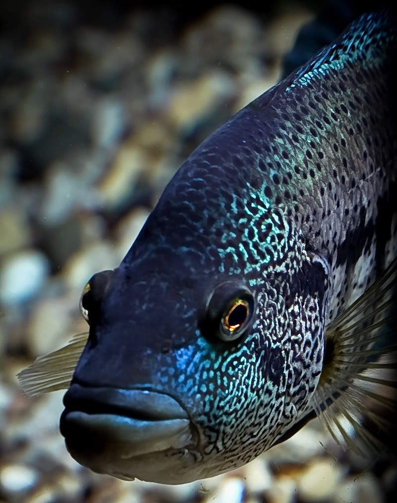 aIMG_2015-1.jpg