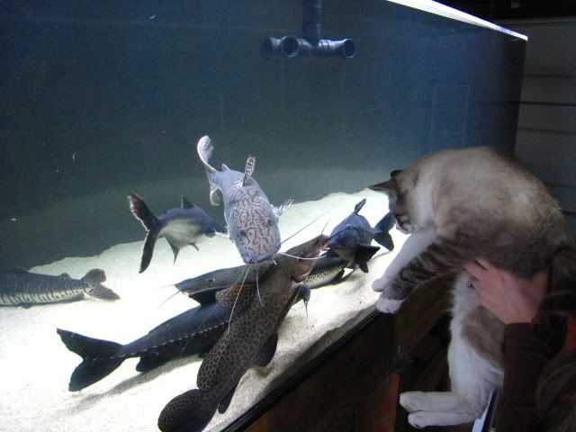 Picture007.jpg