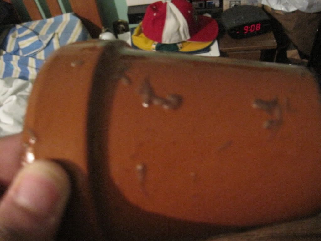 Picture049-2.jpg