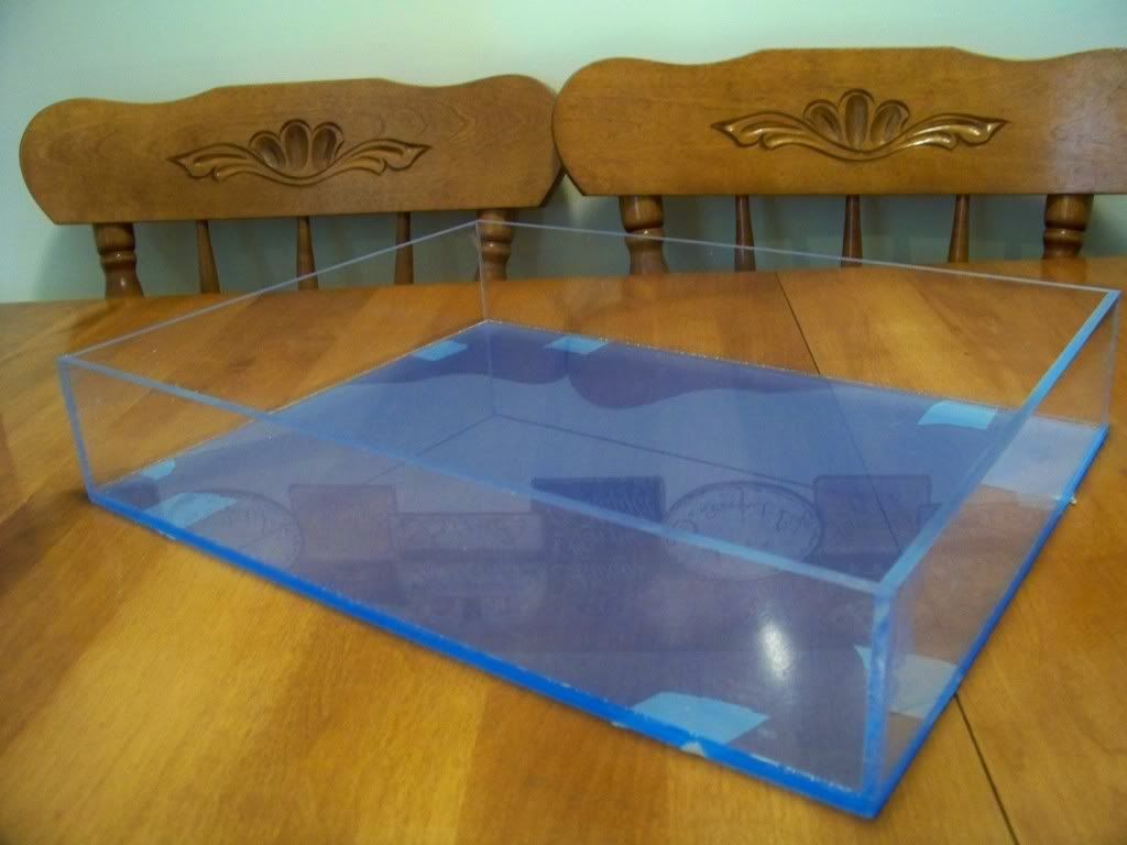 100_6813.jpg