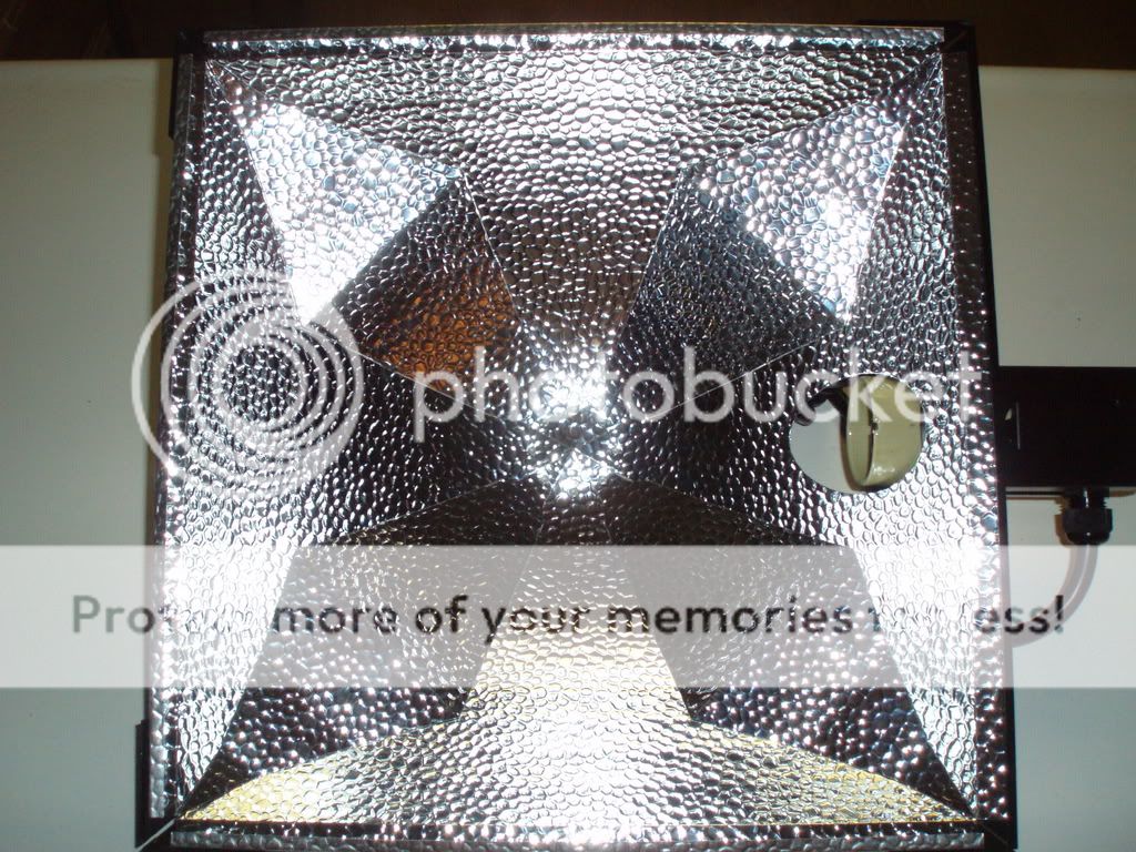 Reflector2.jpg