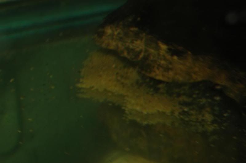 DSC_9447.jpg