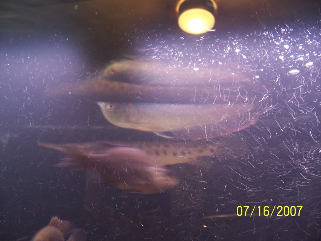 Picture029.jpg