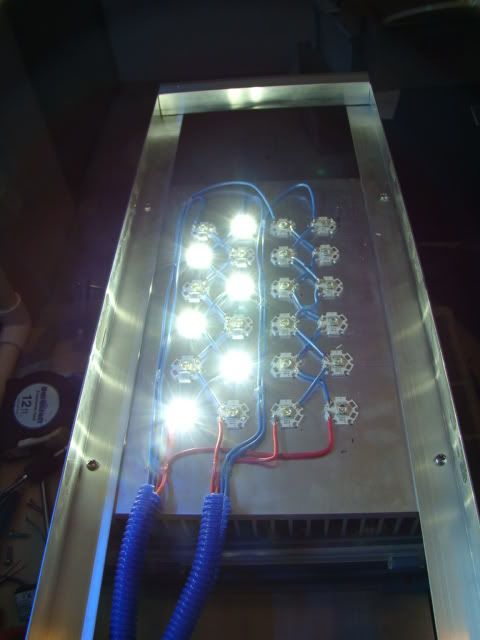 DSC04849-1.jpg