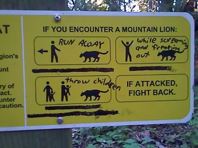 MountainLion.jpg