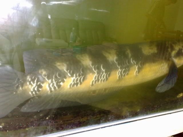 260820111839.jpg