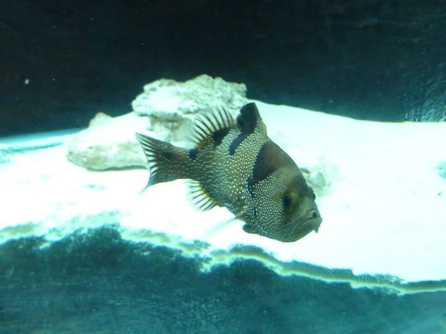 P1010239.jpg