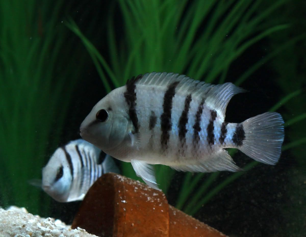 aIMG_0247.jpg
