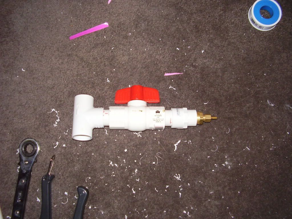 PC110504.jpg