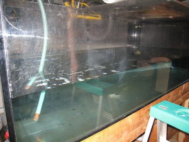 IMG_6782.jpg