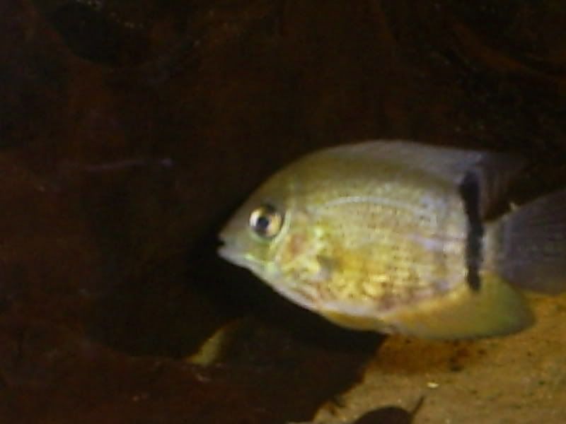 S5031260.jpg