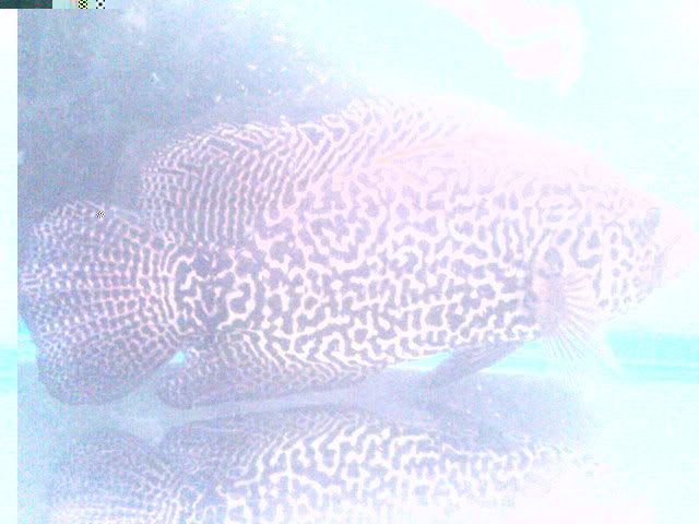 DSC01050.jpg