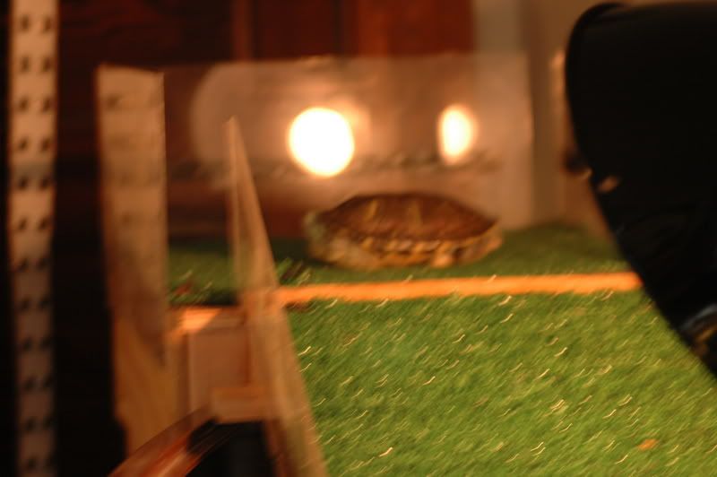 DSC_0007.jpg