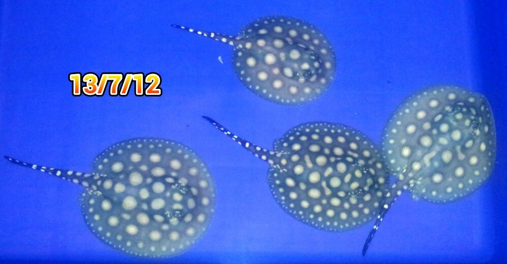 1342137590-picsay.jpg