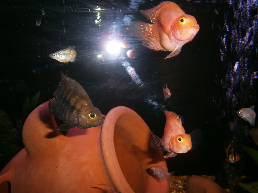 PC290083.jpg