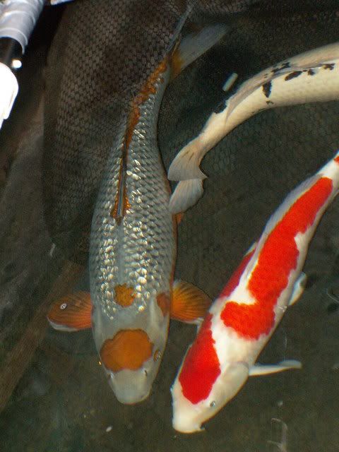 022.jpg