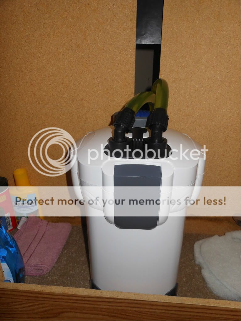 DSCN0189.jpg