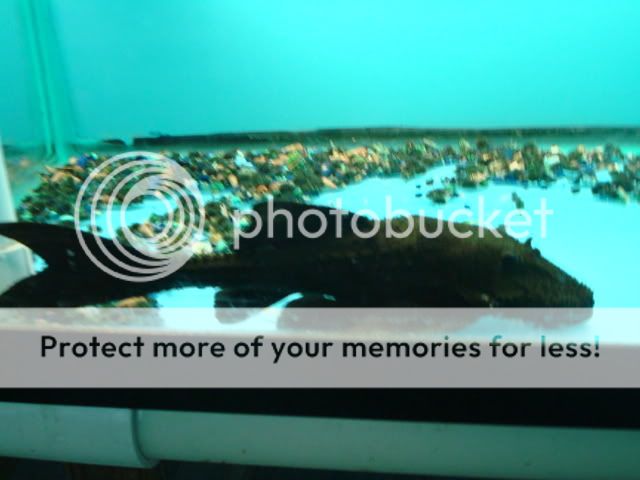 DSC05796.jpg