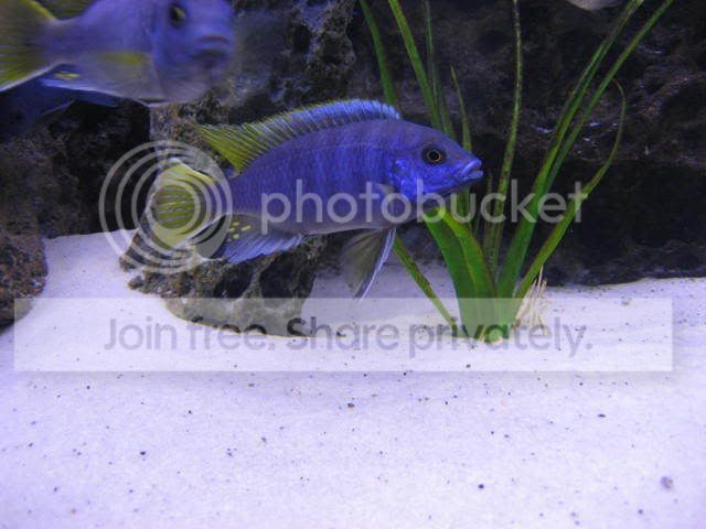 IMG_4088.jpg