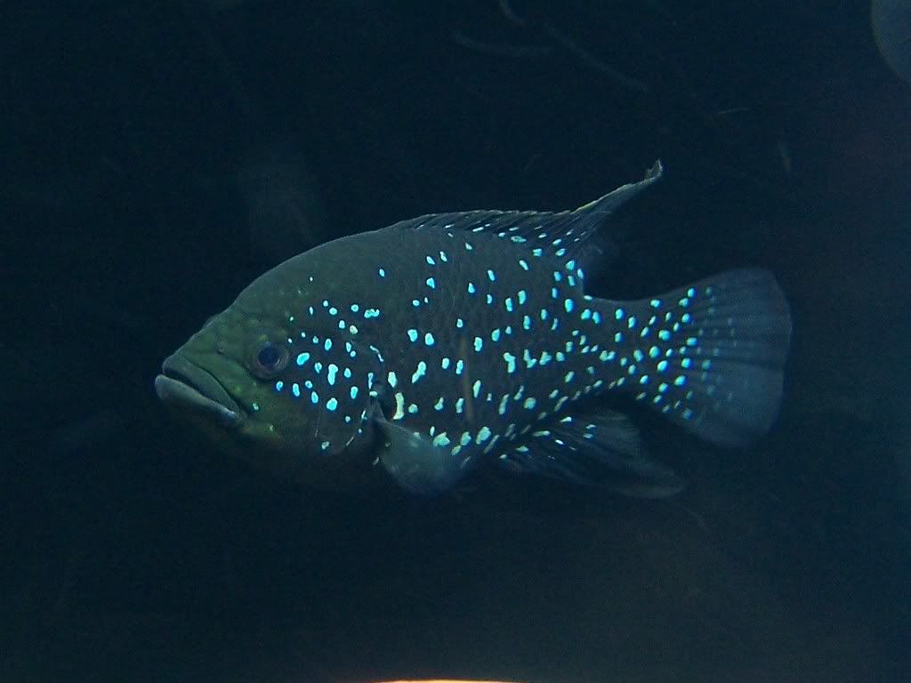 100_5273.jpg