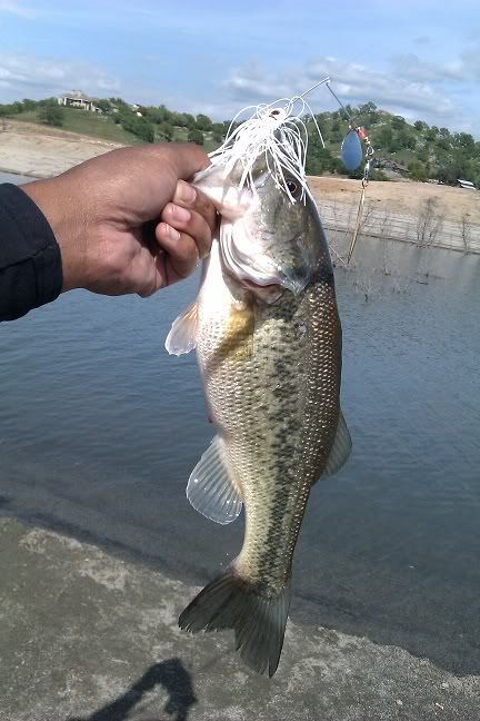 IMAG0687.jpg