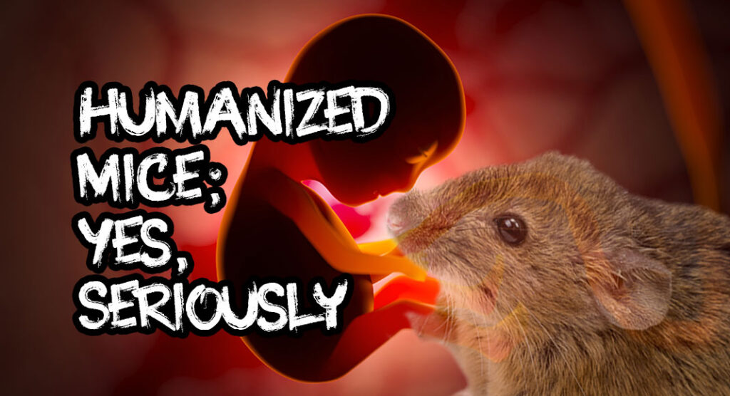 texasborderbusiness.com