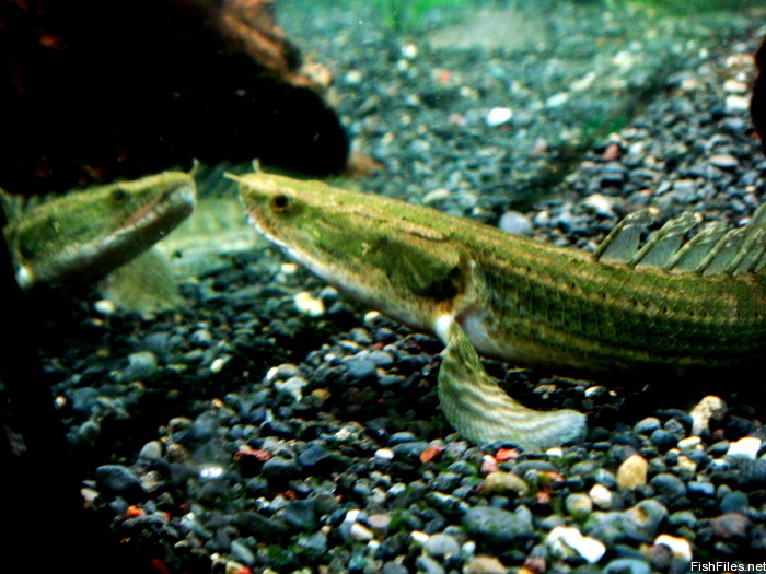 s7c3xw3e_DSC00667.JPG