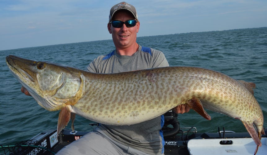 Image result for musky