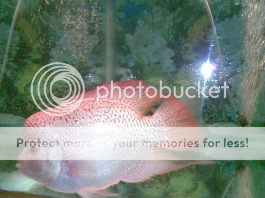 2SEPT12010.jpg