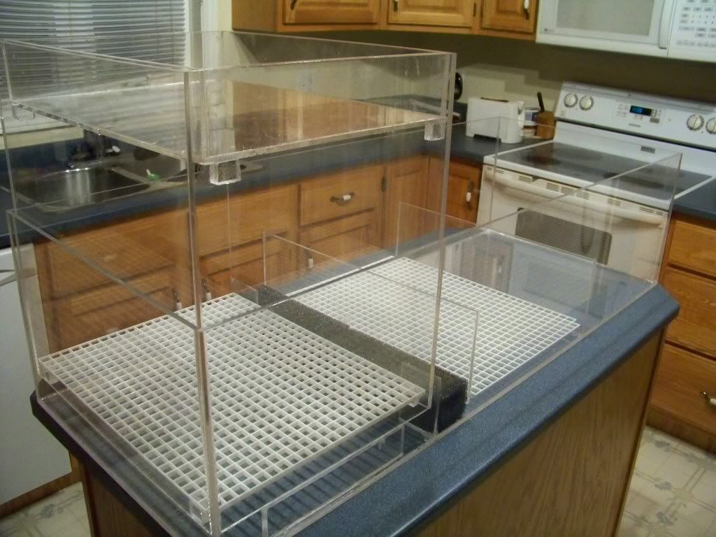 100_6827.jpg