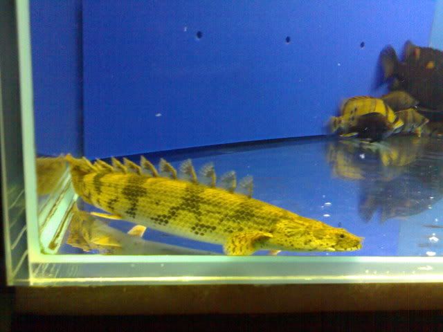 10022008293.jpg