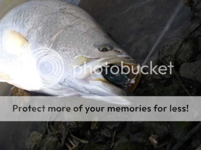 DSC01177.jpg