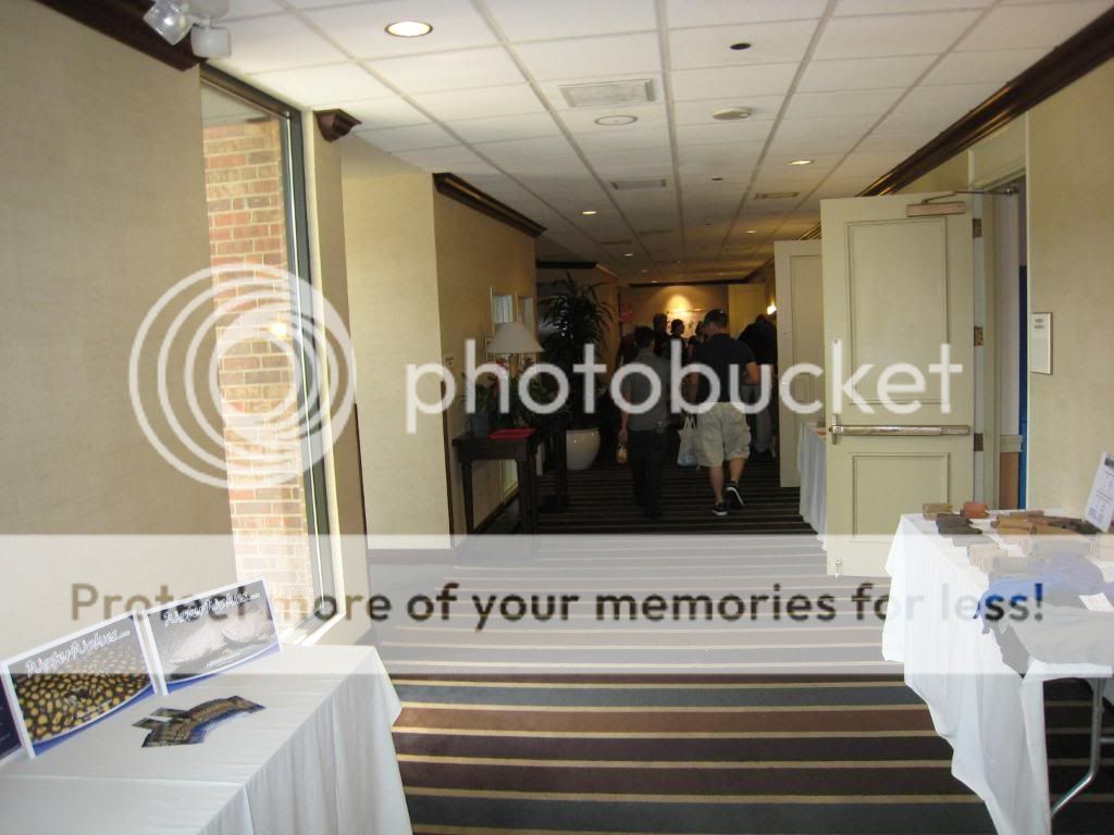 IMG_9267.jpg